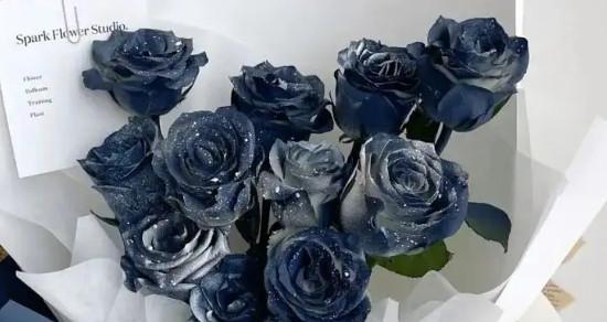 蓝玫瑰花语的含义与传说（探寻蓝色花海中的美丽之谜）