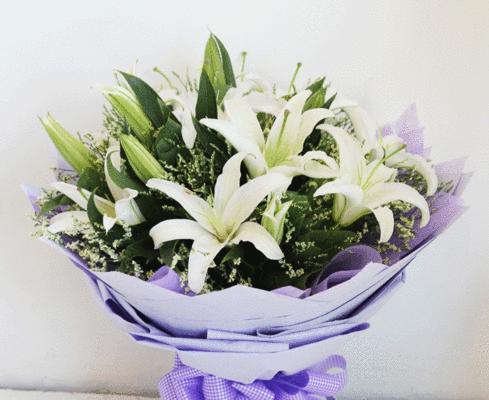 白百合花的意义（解读白百合的象征意义及文化背景）