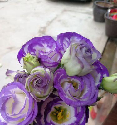 洋桔梗的花语与寓意（探究洋桔梗花所代表的意义与象征）
