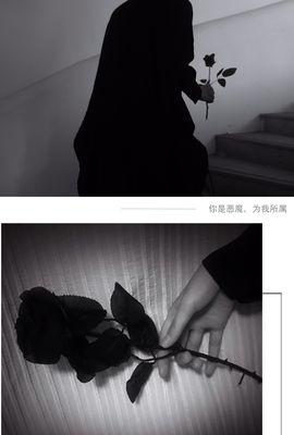 黑色玫瑰花语与爱情（寓意深刻的花卉，传递爱与忠诚的象征）
