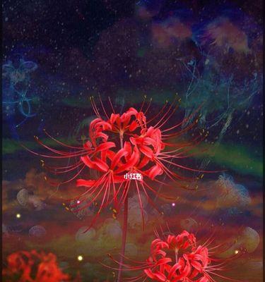 探秘彼岸花的秘密(神秘花朵的花语与生长环境)