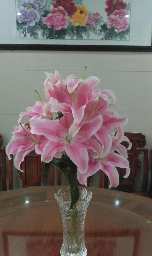 百合花的赠送对象与意义（揭秘百合花的文化内涵）