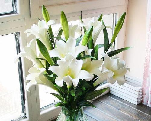百合花的赠送对象与意义（揭秘百合花的文化内涵）