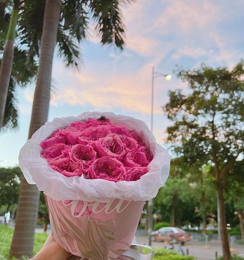 19朵玫瑰的含义（浪漫爱情的象征）