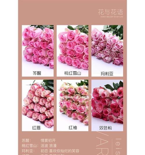 花开花落，玫瑰语随（探究各种玫瑰花语及其深刻内涵）