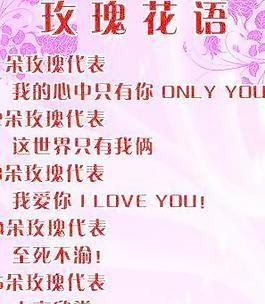 花开花落，玫瑰语随（探究各种玫瑰花语及其深刻内涵）
