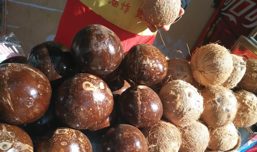 迷你椰子的养殖方法与注意事项（打造家庭小清新，快乐享受绿色生活）