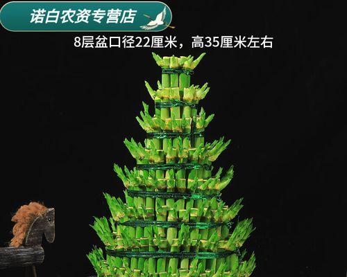 手工制作富贵竹竹塔（一份精致的心意，传递生活的美好）