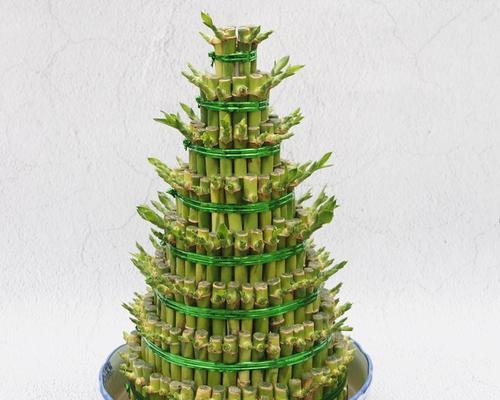 手工制作富贵竹竹塔（一份精致的心意，传递生活的美好）