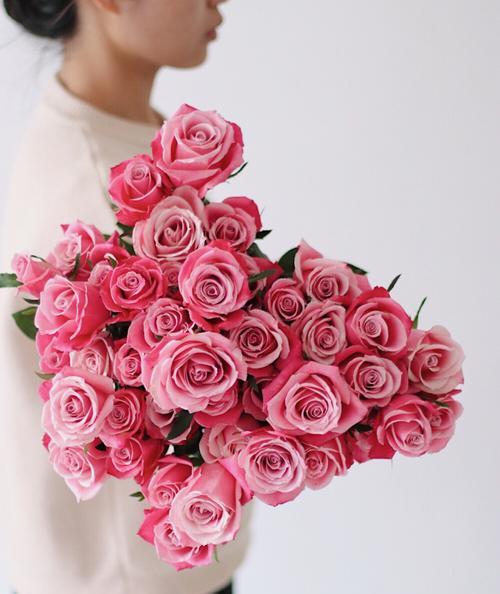彩色玫瑰花语（探秘玫瑰的多彩含义，送给TA最好的祝福）