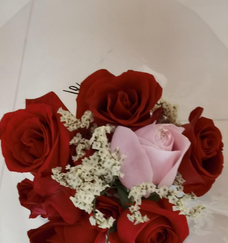 十朵玫瑰花所代表的意义剖析（解读十朵玫瑰花的花语与象征意义）