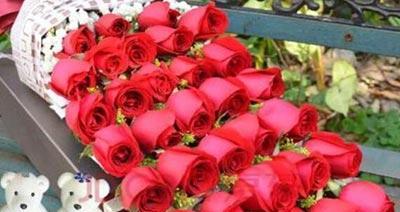 玫瑰花的寓意与花语（探究玫瑰的文化象征及其传达的情感语言）