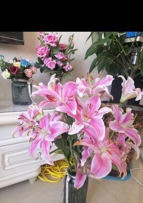传递祝福之花——送百合花代表的意义（寓意美好，象征祝福，送百合花让你的关爱更有意义）