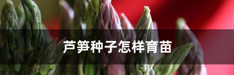 如何成功育苗花种子？（掌握8个技巧，让你的花儿生根发芽）