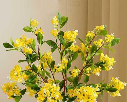 探秘花花枝木的学名及其特性（从树种分类到生态习性全方位了解花花枝木）
