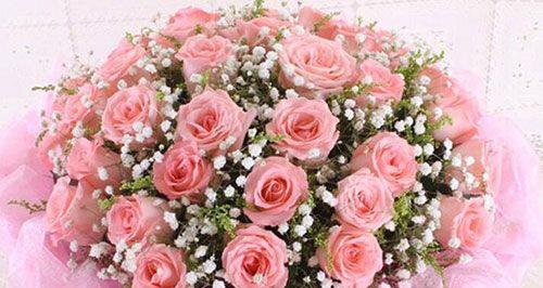 13朵粉玫瑰的代表意义（鲜花之语解读）