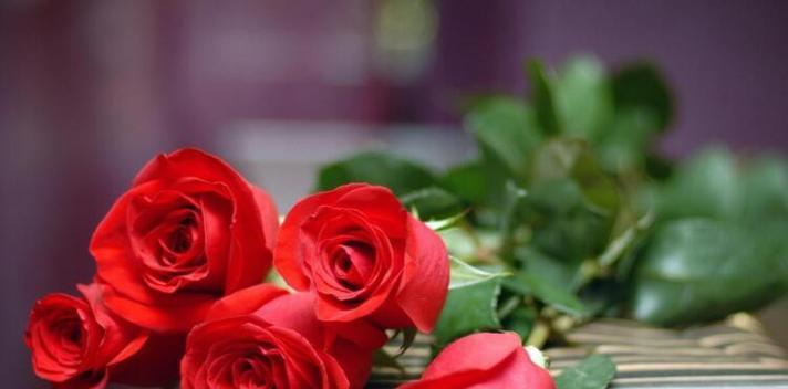 16朵玫瑰的象征意义及传统文化内涵（探寻花语、历史背景和文化传承的奥秘）