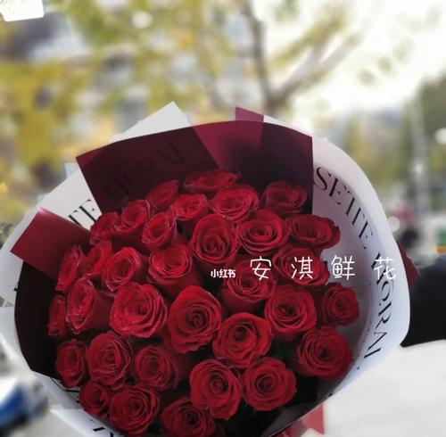 33朵玫瑰的深刻意义（探寻玫瑰花背后的情感纽带）