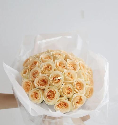 33朵香槟玫瑰的花语与寓意（探寻33朵香槟玫瑰所代表的含义与象征）