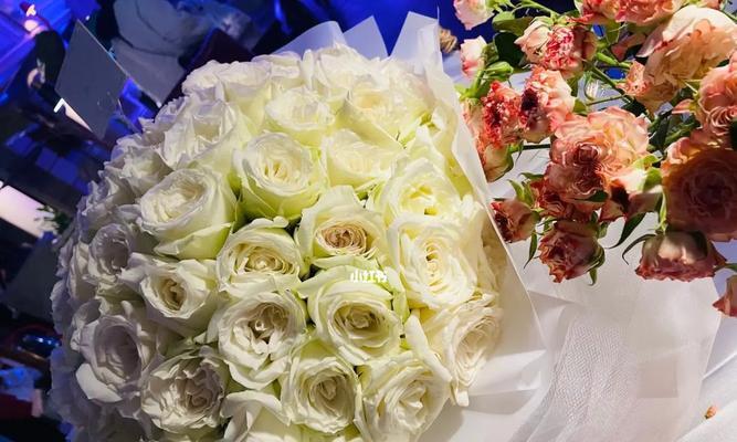 白玫瑰花的象征意义与传说（以白玫瑰代表纯洁与无瑕，它的神秘魅力与温柔美丽）