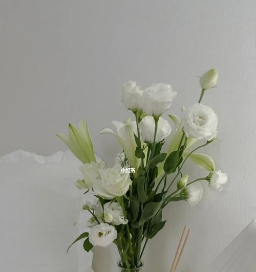 白玫瑰花的寓意及象征意义（纯洁美丽的白玫瑰花在不同文化中代表的寓意）