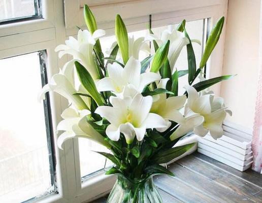 百合花的象征意义及其文化传承（百合花的美丽与纯洁，以及对爱情、宗教和艺术的象征意义）