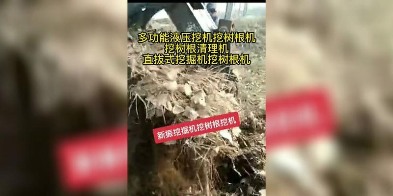 树桩挖掘方法（如何有效清除树桩）