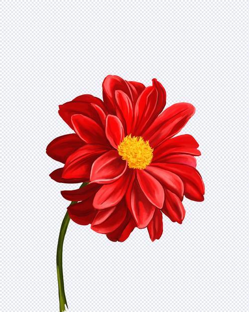 红色丁香花的花语与意义(红色丁香花传达的情感和象征)