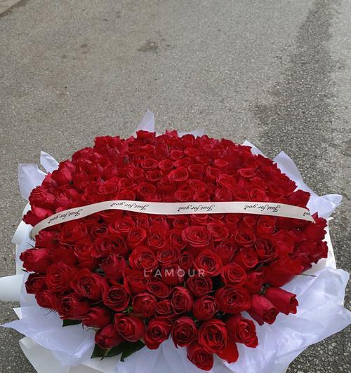 红色玫瑰花的象征意义(揭示红色玫瑰花传递的情感与情绪)