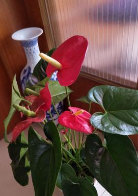 鸿运当头（运势翻转，改变命运的秘密）