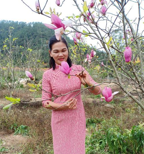 深入探究桃花的花蕊（一探究竟，桃花花蕊长什么样？）