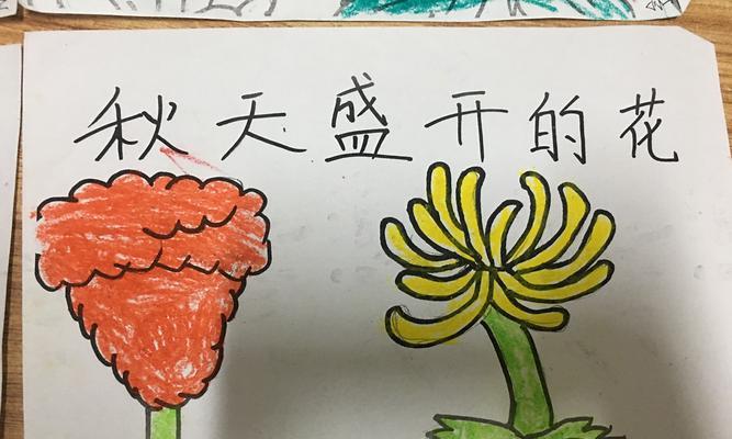 秋天花开——赏秋之美（秋天的魅力、花儿的妩媚）