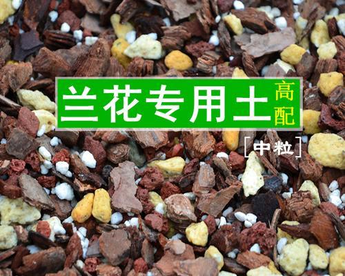 如何配制适合君子兰的营养土?(制作君子兰专用营养土的关键)