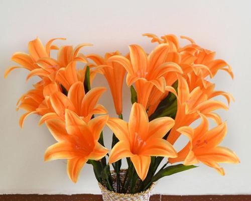橙色百合花的象征意义及文化内涵（探寻橙色百合花的神秘魅力）