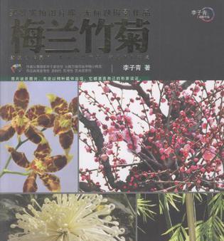 梅兰竹菊的象征意义和解释（讲述梅兰竹菊的花语）