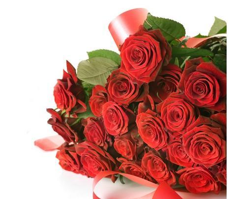 13朵玫瑰的寓意与象征（探索玫瑰花的神秘语言与情感表达）