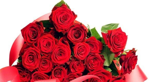 以16朵玫瑰代表的含义（玫瑰的花语与象征意义）