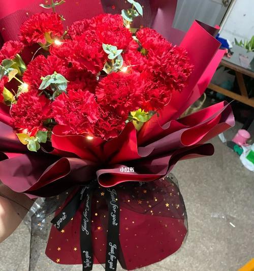 19朵康乃馨的隐含意义（传递情感与祝福的花语之美）
