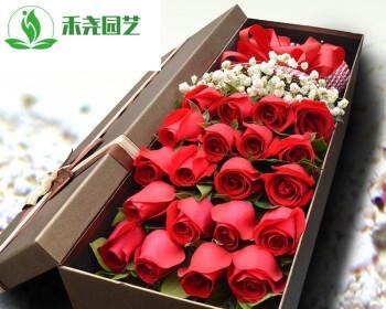 玫瑰花的寓意与意义（19朵玫瑰的浪漫和象征）