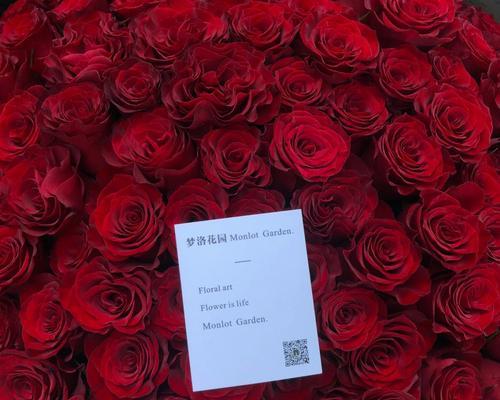 99朵玫瑰花的寓意（用花语传递浪漫与真情）