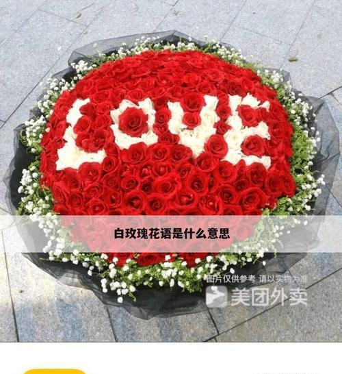 白色玫瑰花的花语-纯洁和无邪（美丽的白色玫瑰花所传达的情感与寓意）