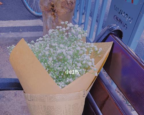 白色满天星的花语——纯洁与美丽的象征（探寻满天星的花语之美）