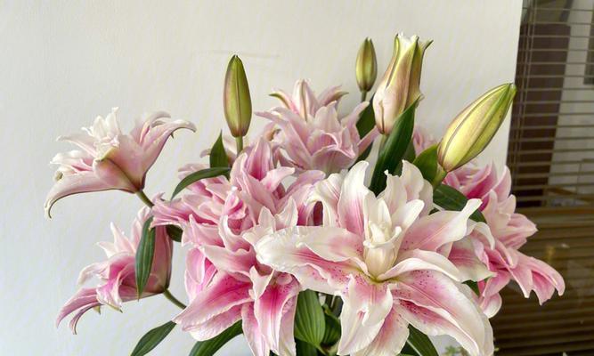 百合花的象征意义及影响（解读百合花的文化符号与美学价值）