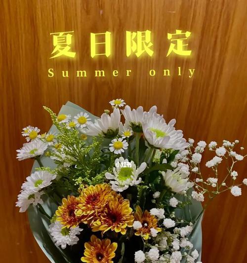 花语代表单身的奇妙世界（探索花朵的语言）