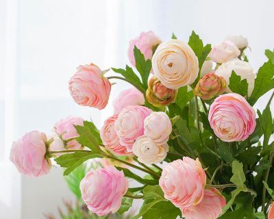 买来的花束怎么养活（有关买来的花束保鲜方法）