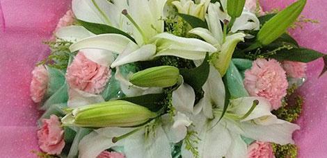 白色康乃馨的花语——纯洁和爱的象征（白色康乃馨）