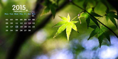 枫叶花语（探寻枫叶花语的深意与传承）