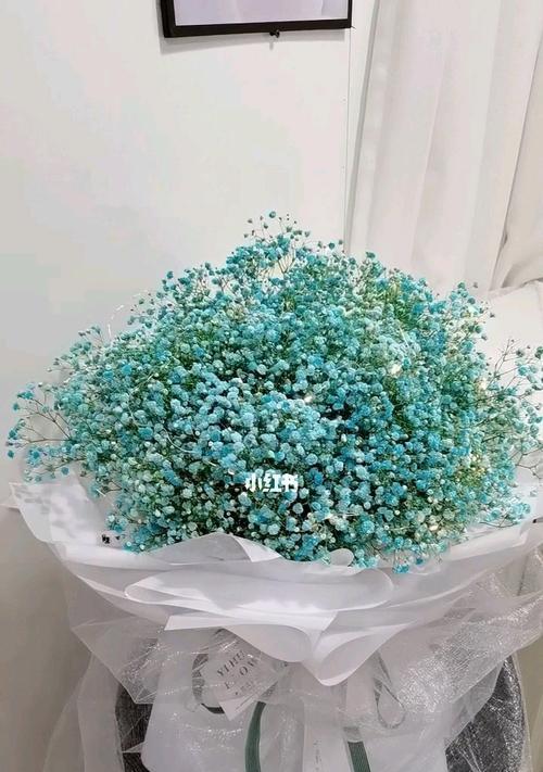 满天星花语与传说（诗意盛放的满天星蕴含着爱和希望的花海）
