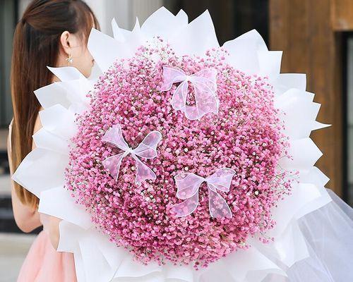 满天星鲜花的含义与象征（解析满天星花的文化内涵与花语）