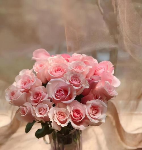 玫瑰花语的奥秘（探寻玫瑰花不同颜色花语的深层含义）